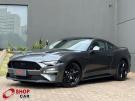 FORD Mustang GT Black Shadow 5.0 V8 32v Cinza