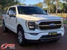 FORD F150 Platinum 5.0 V8 32v 4X4 C.D. 23/23