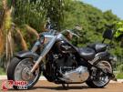 HARLEY-DAVIDSON Fat Boy 1745 Cinza