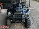 KAWASAKI Brute Force 300 Preta