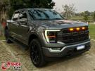 FORD F150 Platinum 5.0 V8 32v 4X4 C.D. Chumbo