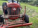 MASSEY FERGUSON 65 x 78/79