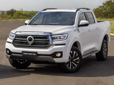 GWM Poer P30