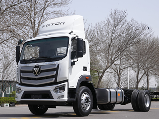 Foton estreia no segmento de s